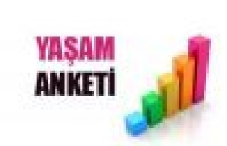 Yaşam Memnuniyeti Araştırması, 2014