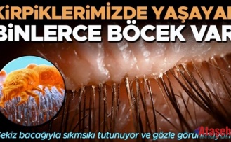 Kirpiklerinizde Yaşayan Mikroskobik Akarlar