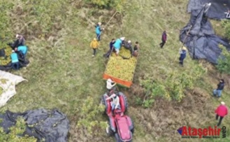 Mimar Baba ve Mühendis Kızı, Çorak Araziden 20 Ülkeye İhracata Ulaştı