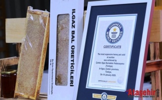Ilgaz Balı Guinness Rekoru Kırdı: Dünyanın En Pahalı Balı