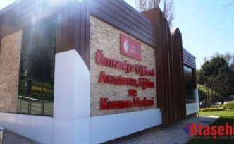 Ümraniye Çiğdemi. Gün Yüzüne Çıkıyor