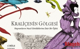 KRALİÇENİN GÖLGESİ