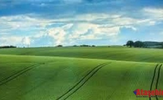 BUNLARI BİLMEDEN ARAZİ - TARLA - ARSA ALMAYIN