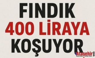 Fındıkta Fiyat Yarışı: 400 TL’ye Doğru Gidiyor!