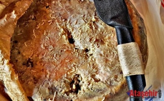 Kurtlu peynir Casu Marzu,