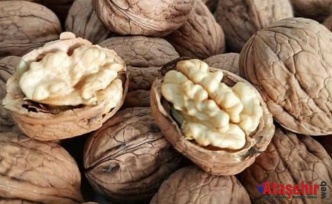 Bilecik Cevizi: Anadolu’nun Lezzetli Mirası