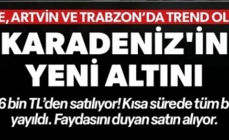 Karadeniz’in Yeni Altını: Çay Çiçeği Çayı!