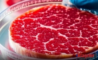 Macaristan’da Laboratuvar Eti Yasaklandı