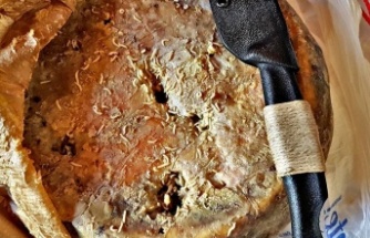 Kurtlu peynir Casu Marzu,