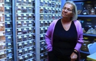 Nar Anne 60 yılda 1200 ata tohum topladı