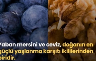 Doğanın Güçlü İkilisi: Yaban Mersini ve Ceviz