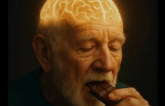 Kakao Flavanolleri ve Hafıza: Bilimden Umut Veren Bulgular