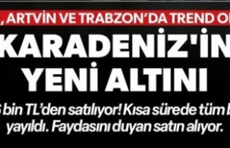 Karadeniz’in Yeni Altını: Çay Çiçeği Çayı!