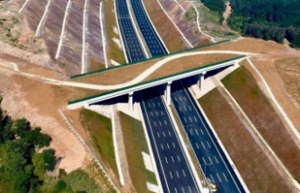 Kuzey Marmara Otoyolu ve Ekolojik Köprüler