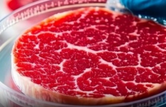 Macaristan’da Laboratuvar Eti Yasaklandı