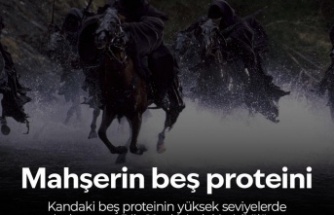  Ölüm Riskini Gösteren Beş Kan Proteini