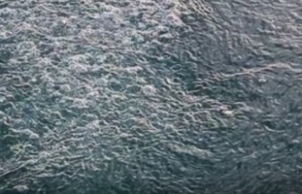 Sapanca Gölü’ndeki Kabarcıklara Bilimden Net Açıklama 