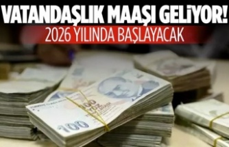 Vatandaşlık Maaşı Yeni Yılda Hayata Geçiyor