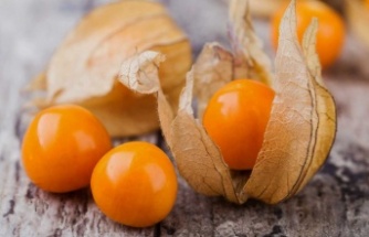 Altın Çilek: Sağlık Hazinesi Raflarda Yerini Alıyor