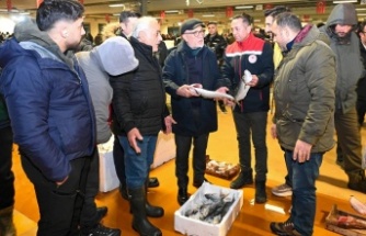 Balık Halinde Lüfer Denetimi