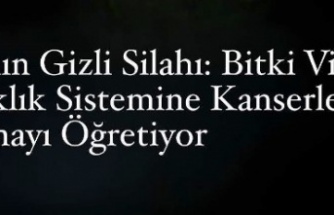 Bir Bitki Virüsü Kansere Karşı “Keskin Nişancı” Olabilir mi?