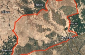 Dünyanın Tek Parça Halindeki En Büyük Tarım İşletmesi: Ceylanpınar