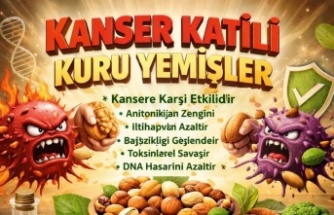 Kuru Yemişler: Sadece Atıştırmalık Değil, Güçlü Bir Savunma Kaynağı