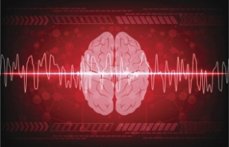 Ölüm anında beyin aktivitesi ilk kez görüntülendi: