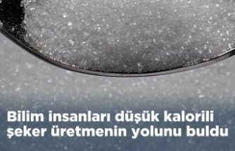 Yeni Araştırma: Doğal Şeker Tagatoz ile Daha Az Kalori, Aynı Tatlılık