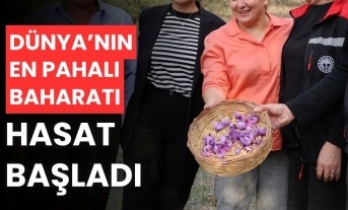 Dünyanın en pahalı baharatı