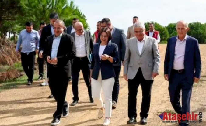 Maltepe Belediyesi, “can dostlar”ı için bakım evi kuruyor