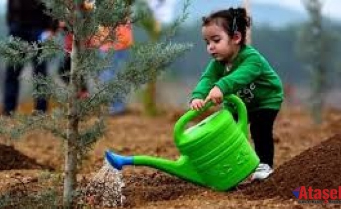 Fidan dikmek için bir günlük resmi tatil ilan edilmeli