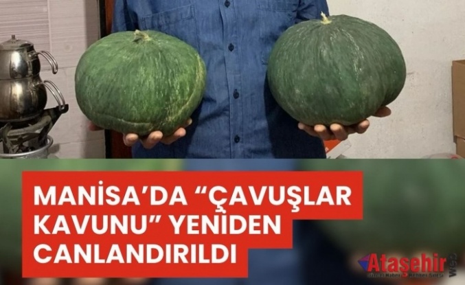 Manisa’da “Çavuşlar Kavunu” Ata Tohumla Yeniden Hayat Buldu