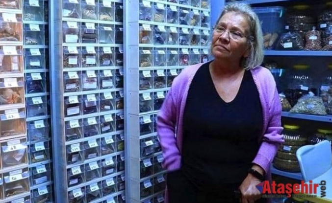 Nar Anne 60 yılda 1200 ata tohum topladı