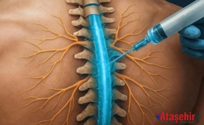 Omurilik Yenileyen İlk İlaç Geliştirildi