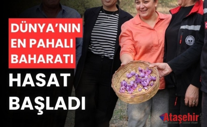 Dünyanın en pahalı baharatı