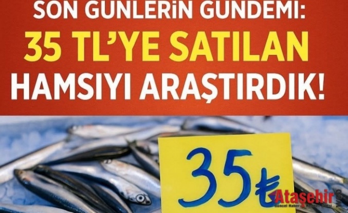 Hamsinin Kilosu 35 TL