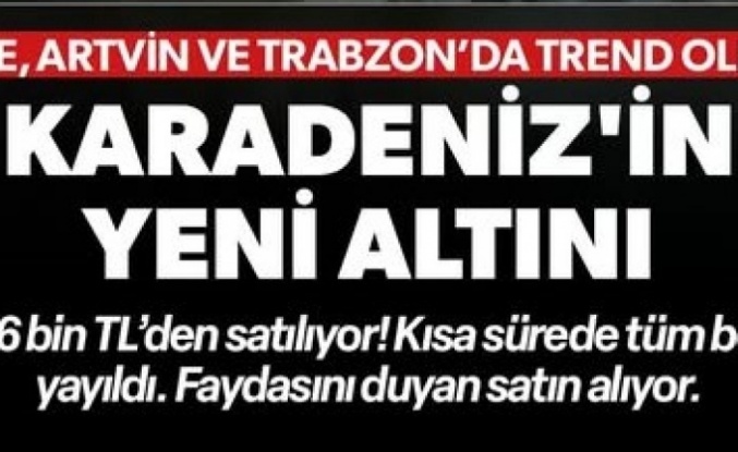 Karadeniz’in Yeni Altını: Çay Çiçeği Çayı!