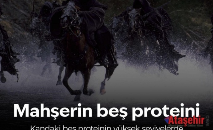 Ölüm Riskini Gösteren Beş Kan Proteini