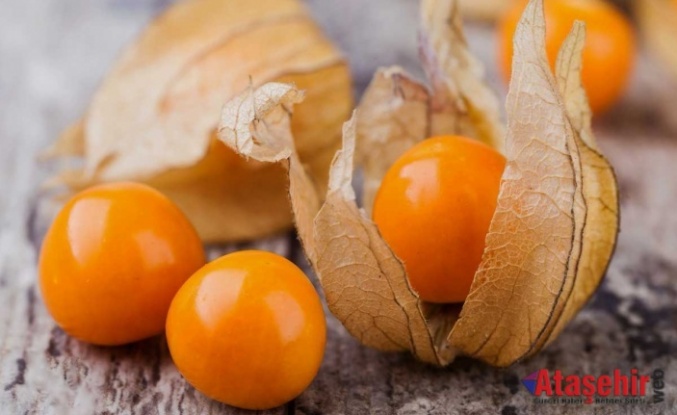 Altın Çilek: Sağlık Hazinesi Raflarda Yerini Alıyor