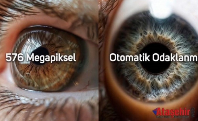 İnsan Gözü: Doğanın En Gelişmiş Kamerası