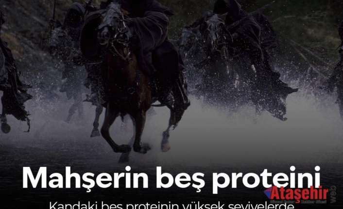  Ölüm Riskini Gösteren Beş Kan Proteini