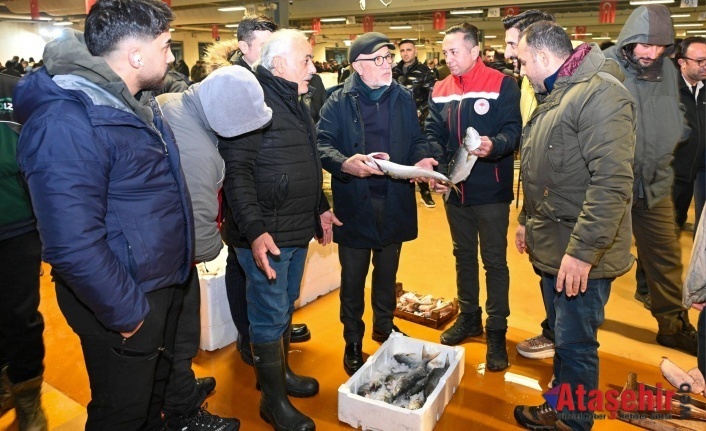 Balık Halinde Lüfer Denetimi