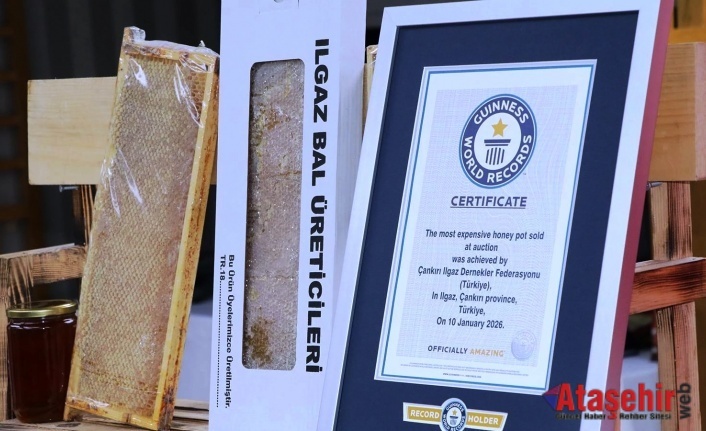 Ilgaz Balı Guinness Rekoru Kırdı: Dünyanın En Pahalı Balı