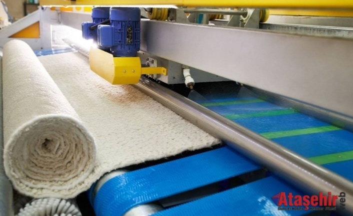 Profesyonel Halı Yıkama Hizmetleri Neden Tercih Ediliyor?