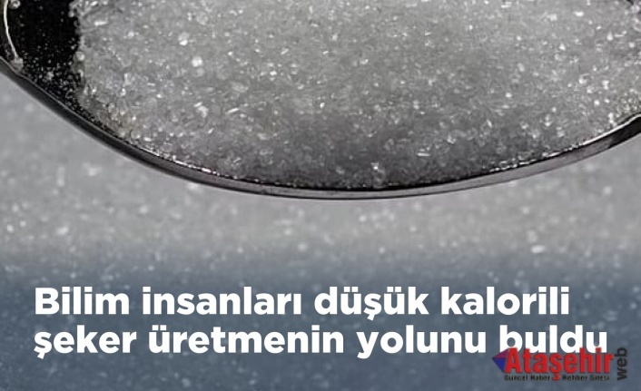 Yeni Araştırma: Doğal Şeker Tagatoz ile Daha Az Kalori, Aynı Tatlılık