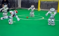 Futbol oynayan robotlar, İstanbul fotbol maçı  2014