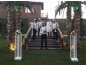 BANDO BALKAN Ankara bando kiralık düğün bandosu