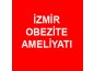 İzmir Obezite Maliyatı