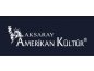 Amerikan Kültür Aksaray - İngilizce Kursu